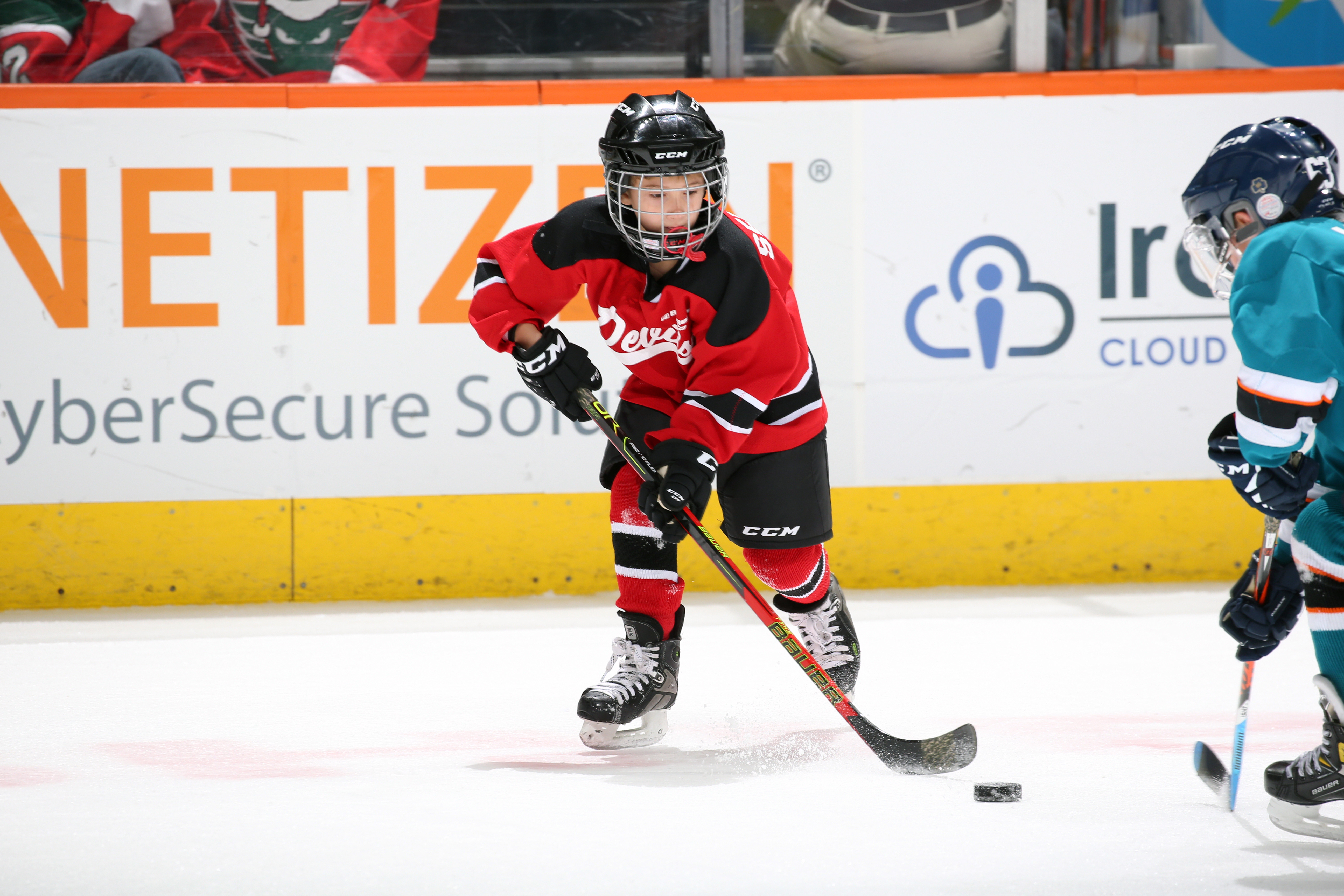 Mites on Ice